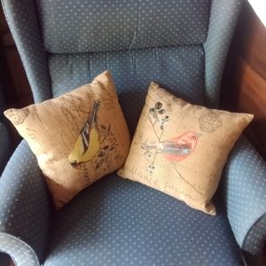 Throw Pillows with Bird Flavor
